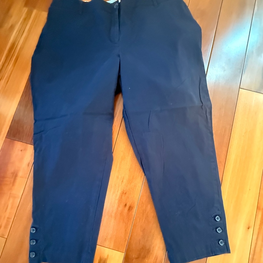 Women's Talbots Perfect Crop Blue Size 18W